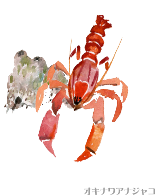 オキナワアナジャコ